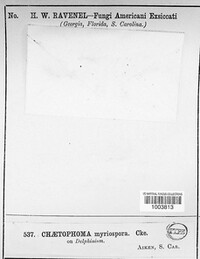 Image Associated With the Occurence